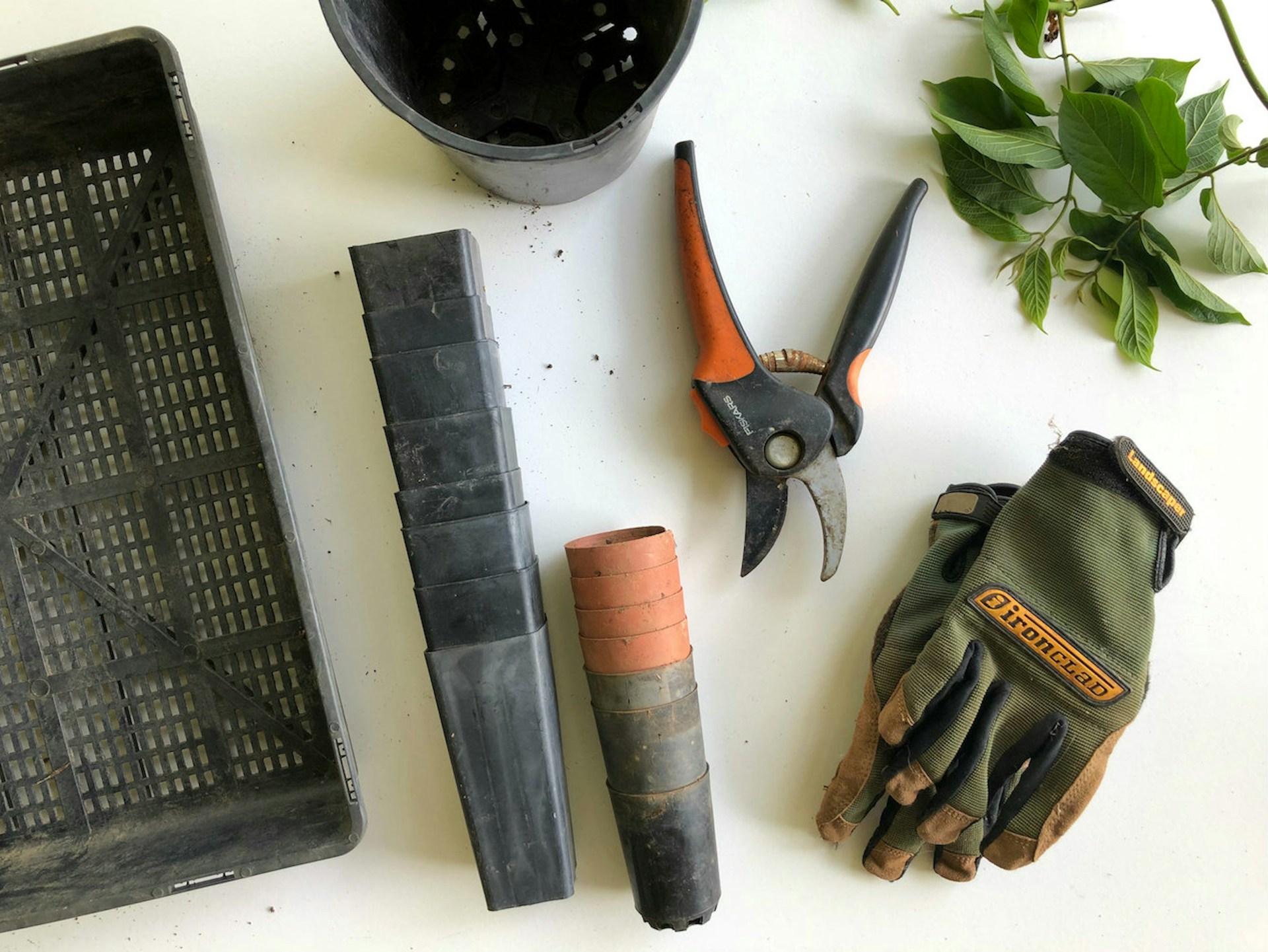 Home gardening tools