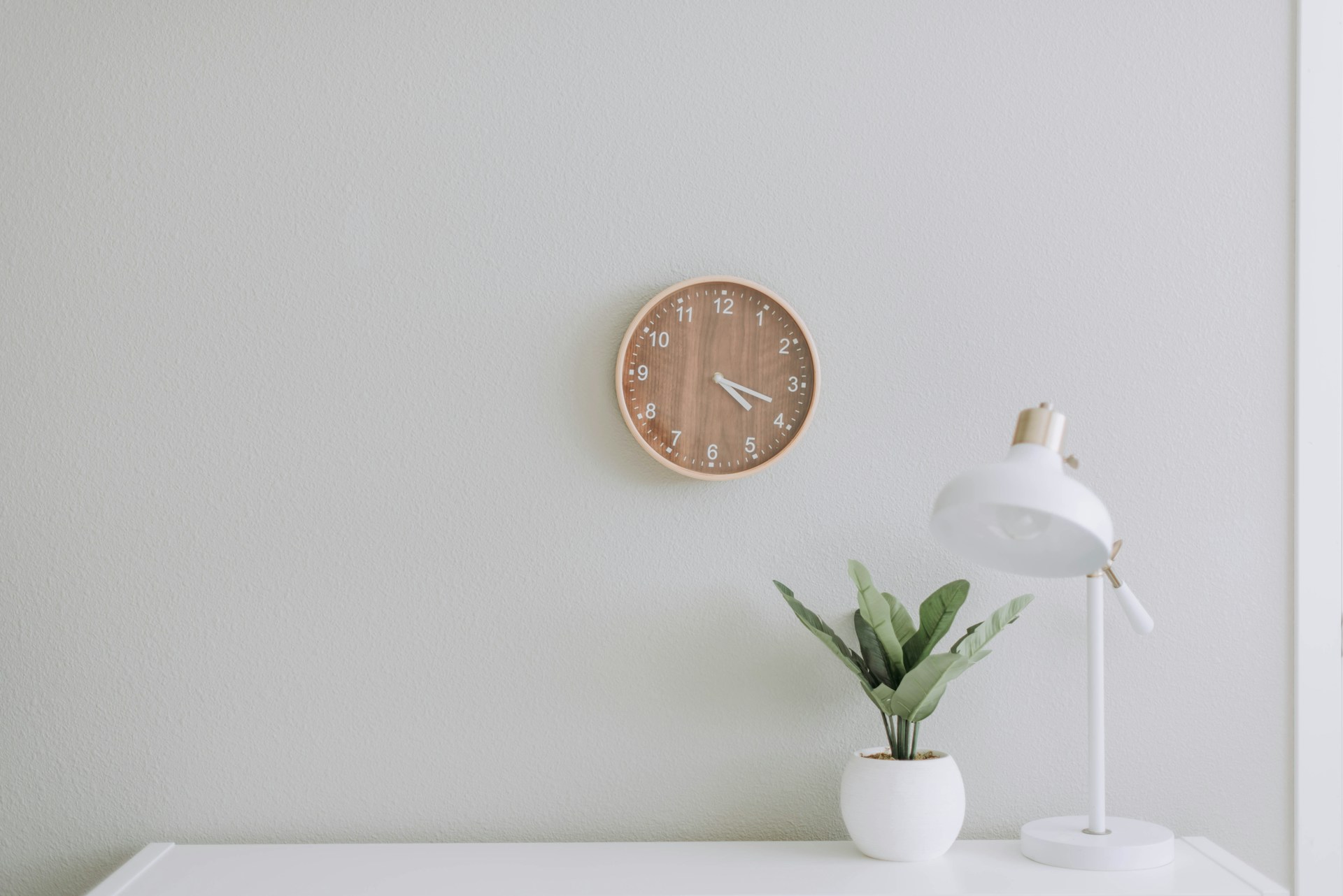 A clock on the wall, a lamp and plant on a table