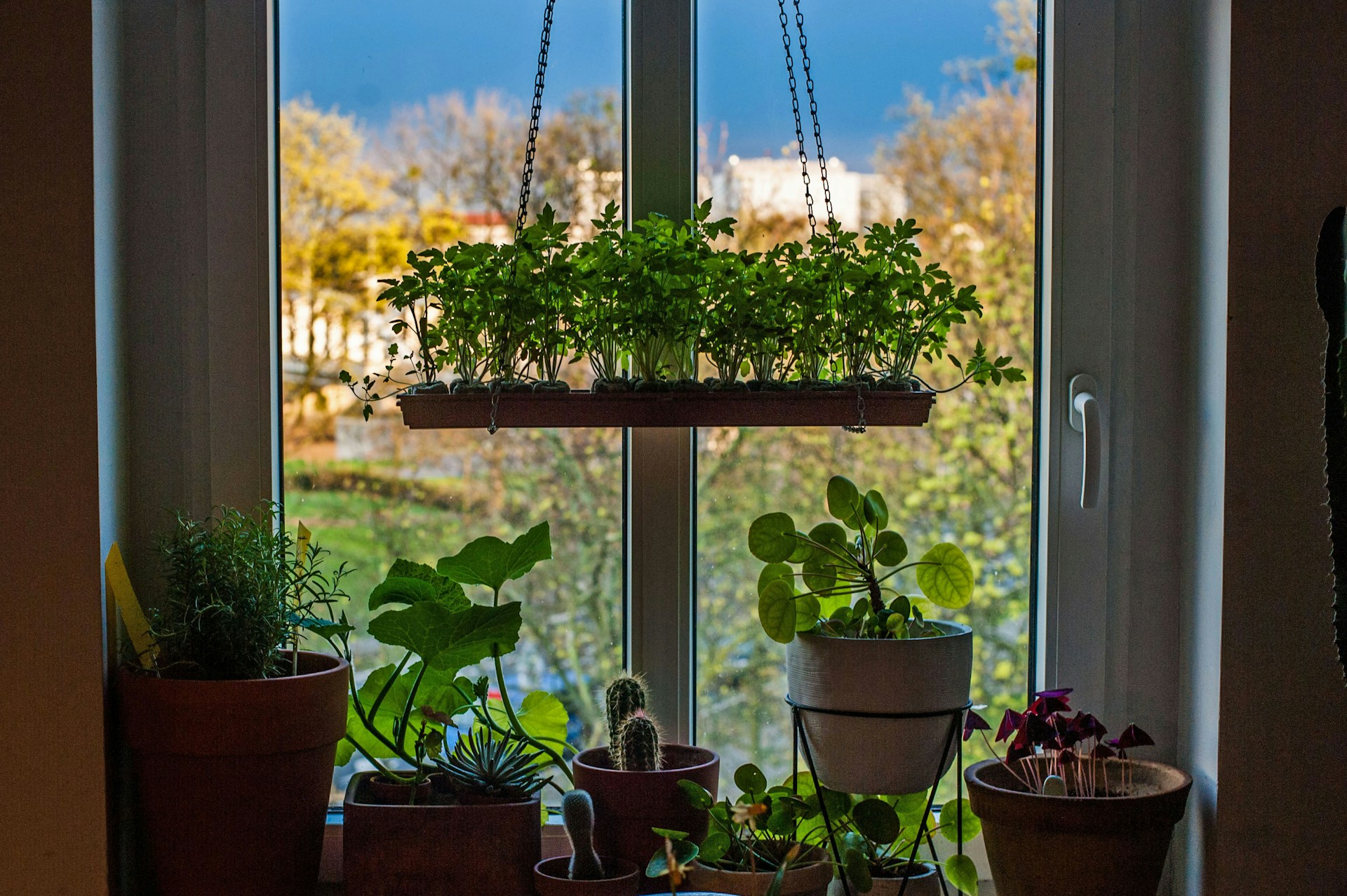 Indoor home garden